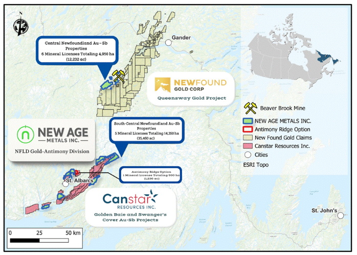 Map: NAM's Newfoundland gold-antimony division &mdash; 6 central licences totalling 4,950 ha, 5 south-central licences totalling 14,350 ha and the 500 ha Antimony Ridge option.